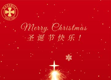 Christmas | Merry Christmas from BaoShiLi
