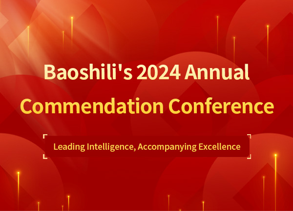 Baoshili's 2024 Annual Commendation Conference
